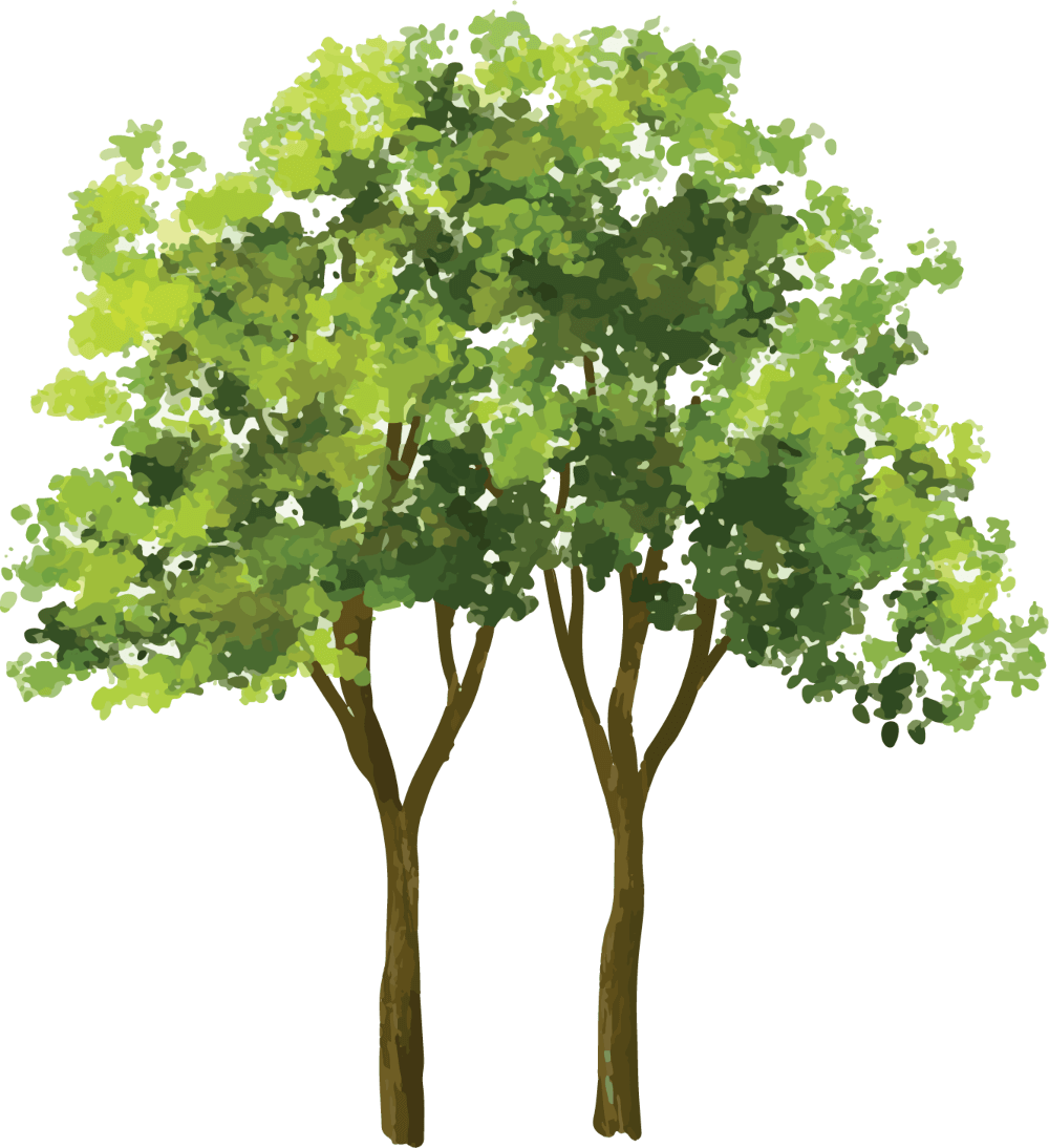 Environmental goals